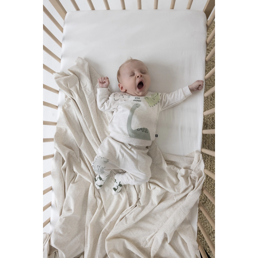 Feetje Sweatshirt Cool-A-Saurus Sand Melange