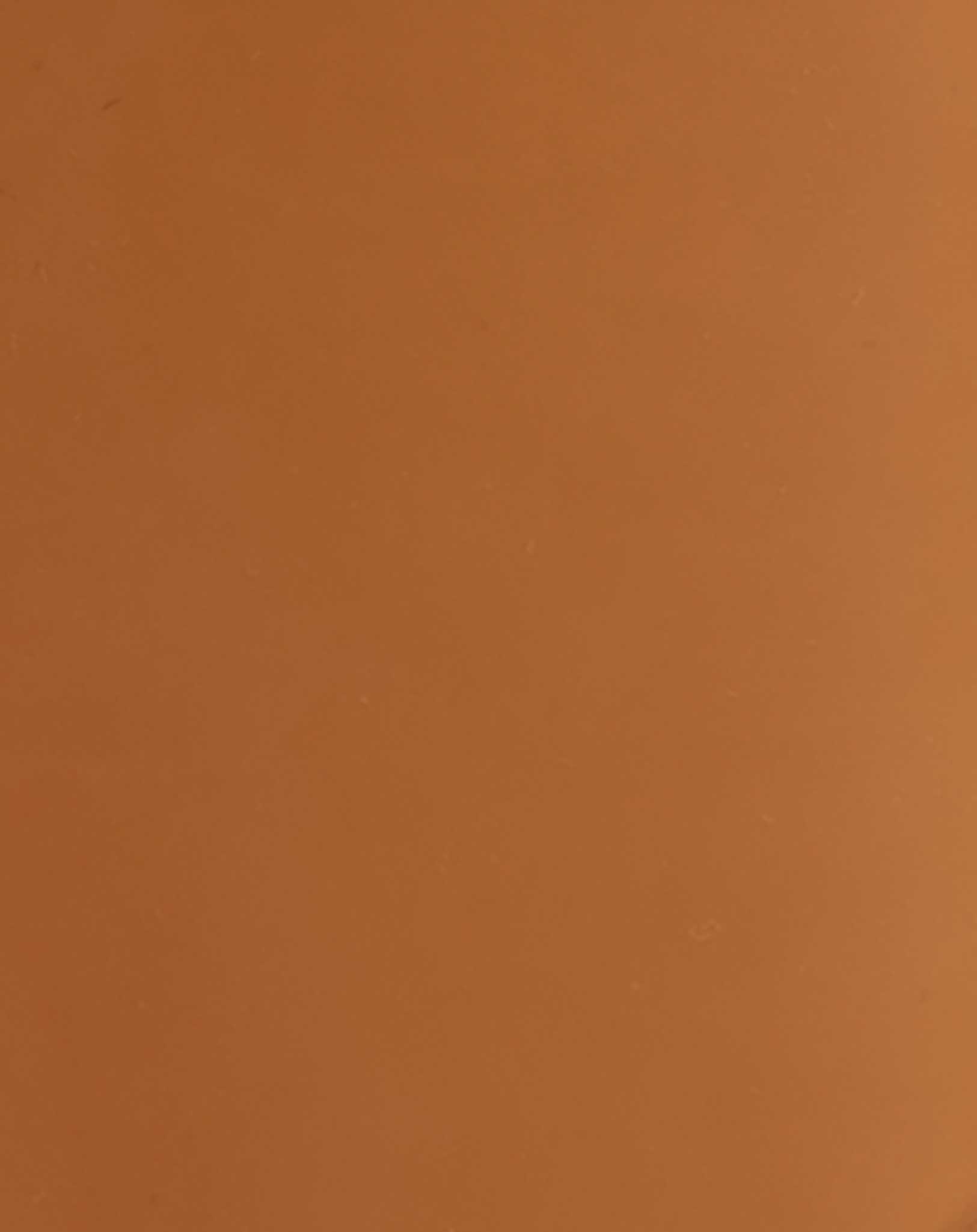 Gummistiefel TIGER in orange