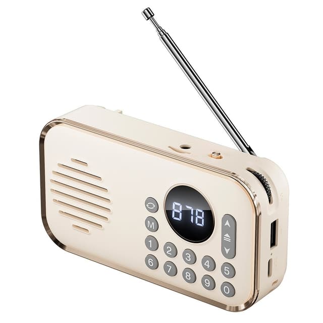 Bluetooth 5.0 FM Radio 3.5mm lydkabel TF Card U Disk
