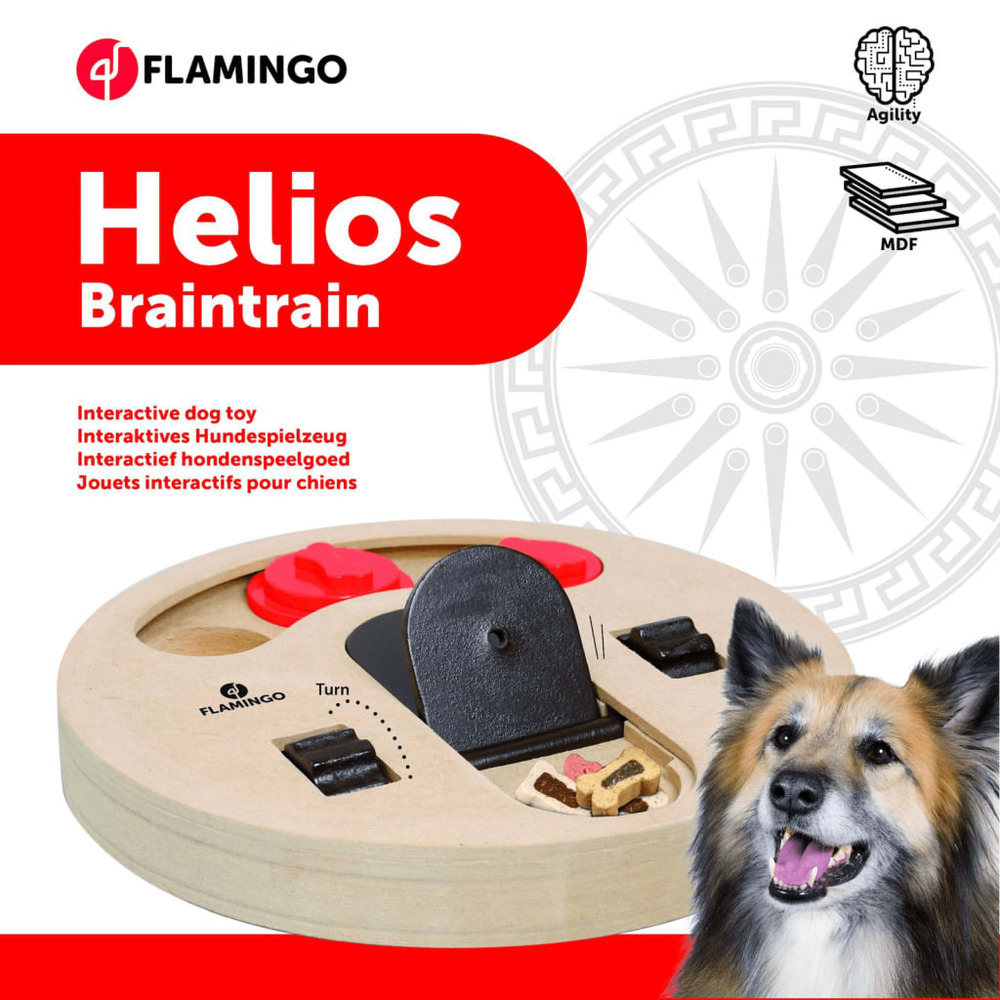 Jouet d'entraînement cérébral helios 23 cm bois