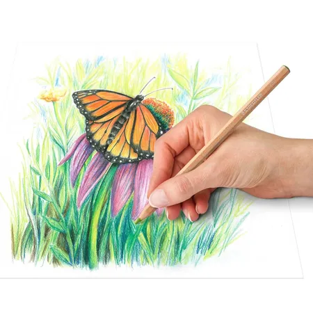 STAEDTLER® pastel 146P, 12er Packung Pastellstifte
