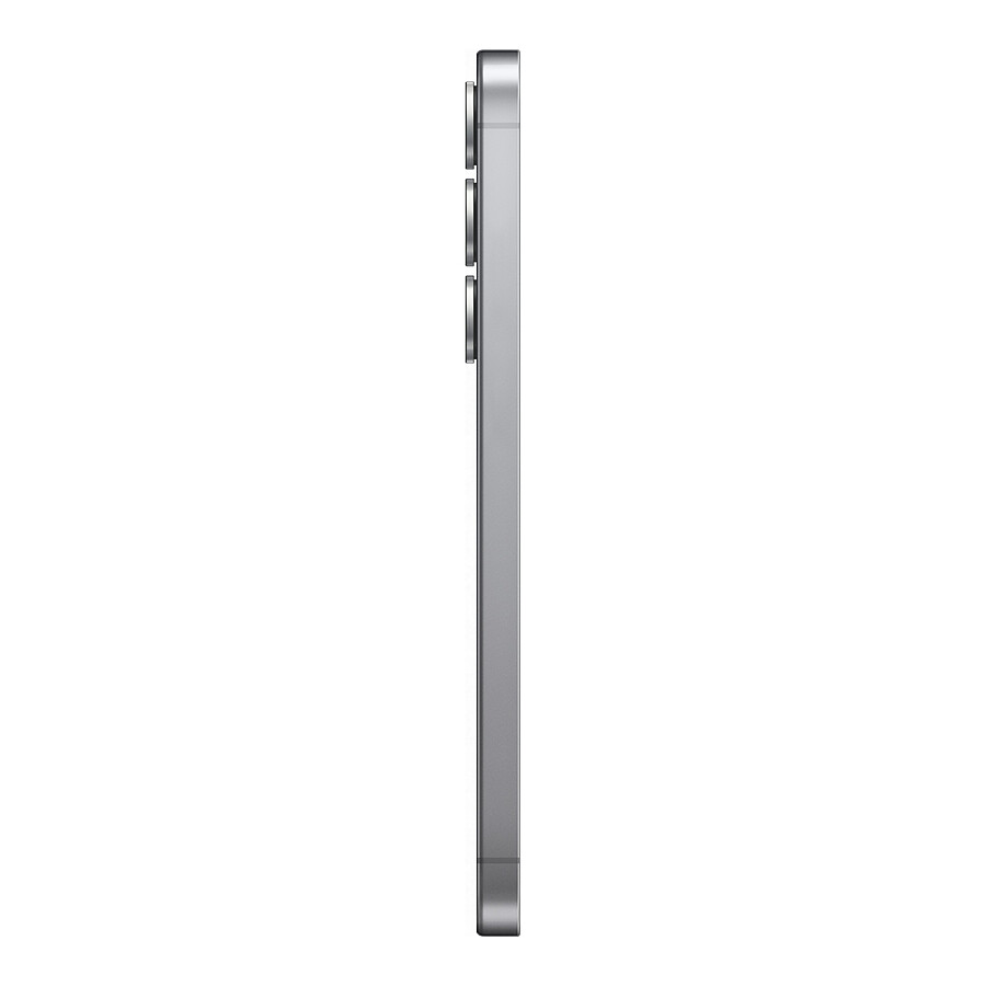 Samsung Galaxy S25 5G (Gris) - 128 Go