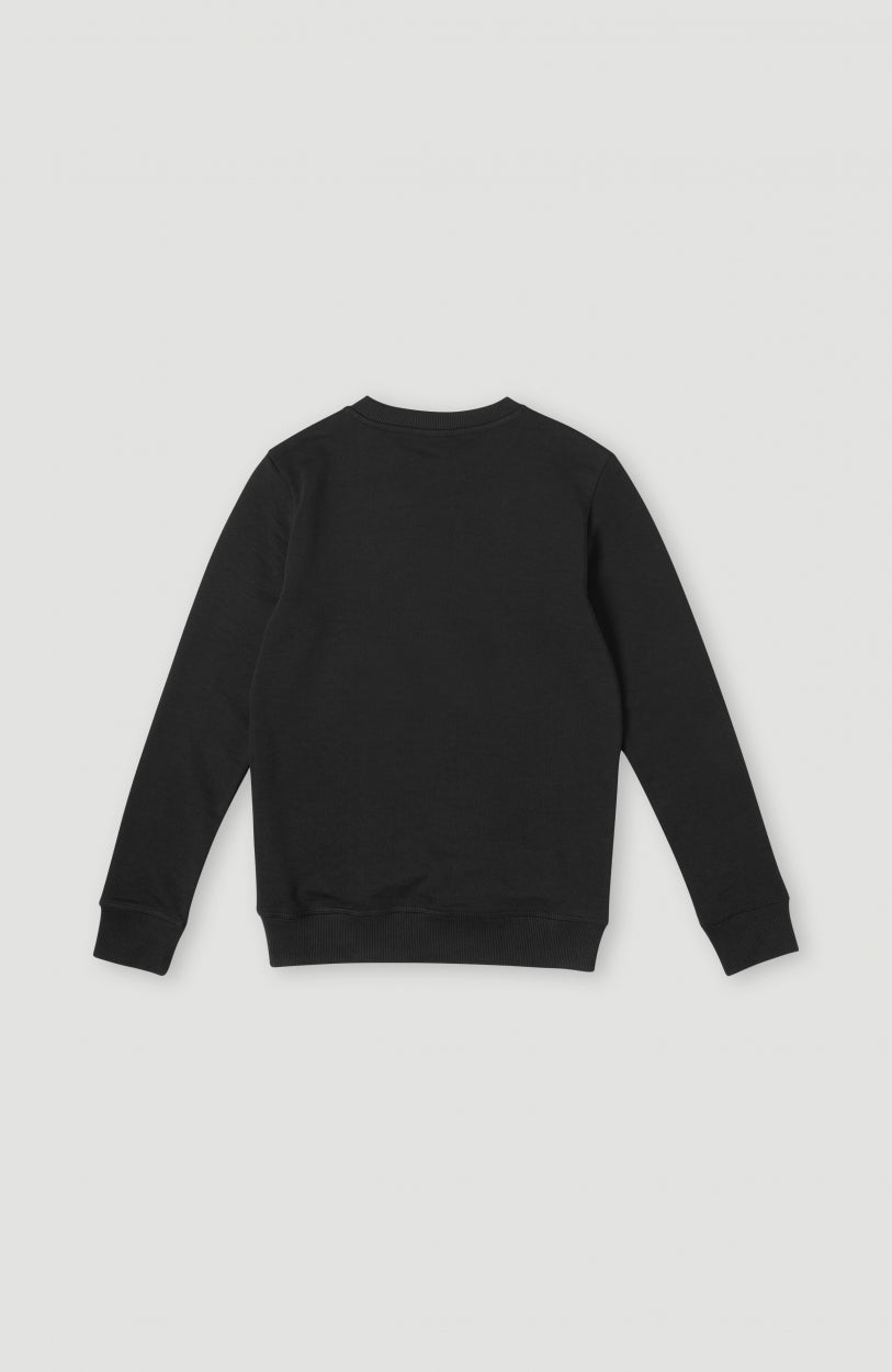 O'Neill Logo Crew sweater