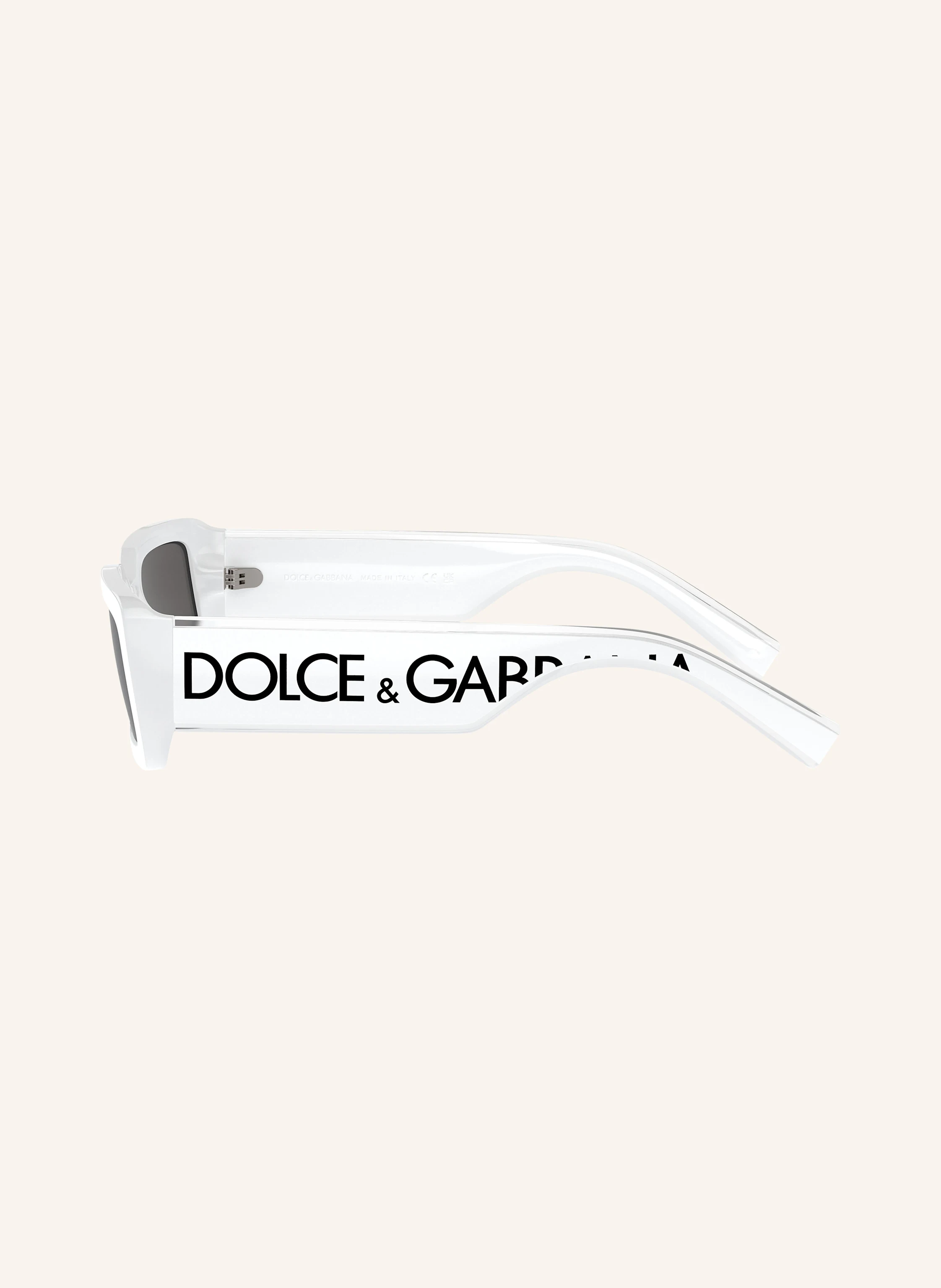 DOLCE & GABBANA Sonnenbrille DG6187