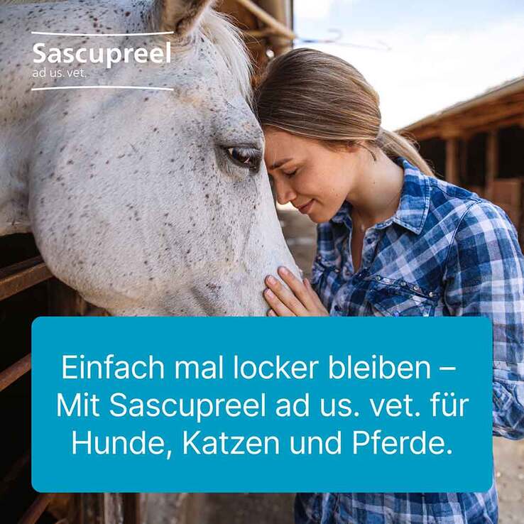 Sascupreel ad us.vet.Ampullen, 50X5 ml