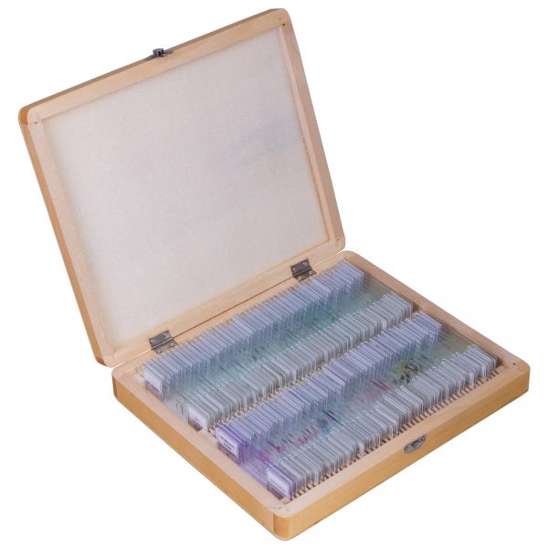 Bresser Acessório para Microscópio Prepared Slides Set 100pcs, With Case 73765