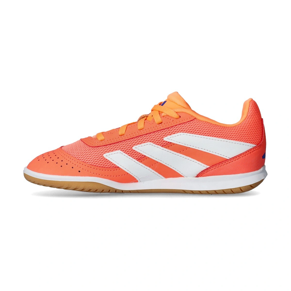 Sapatilha futsal adidas Predator Club In Sala Criança
