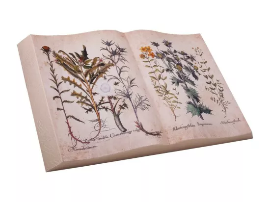 Livre de décoration imprimé 45x28x4,5h