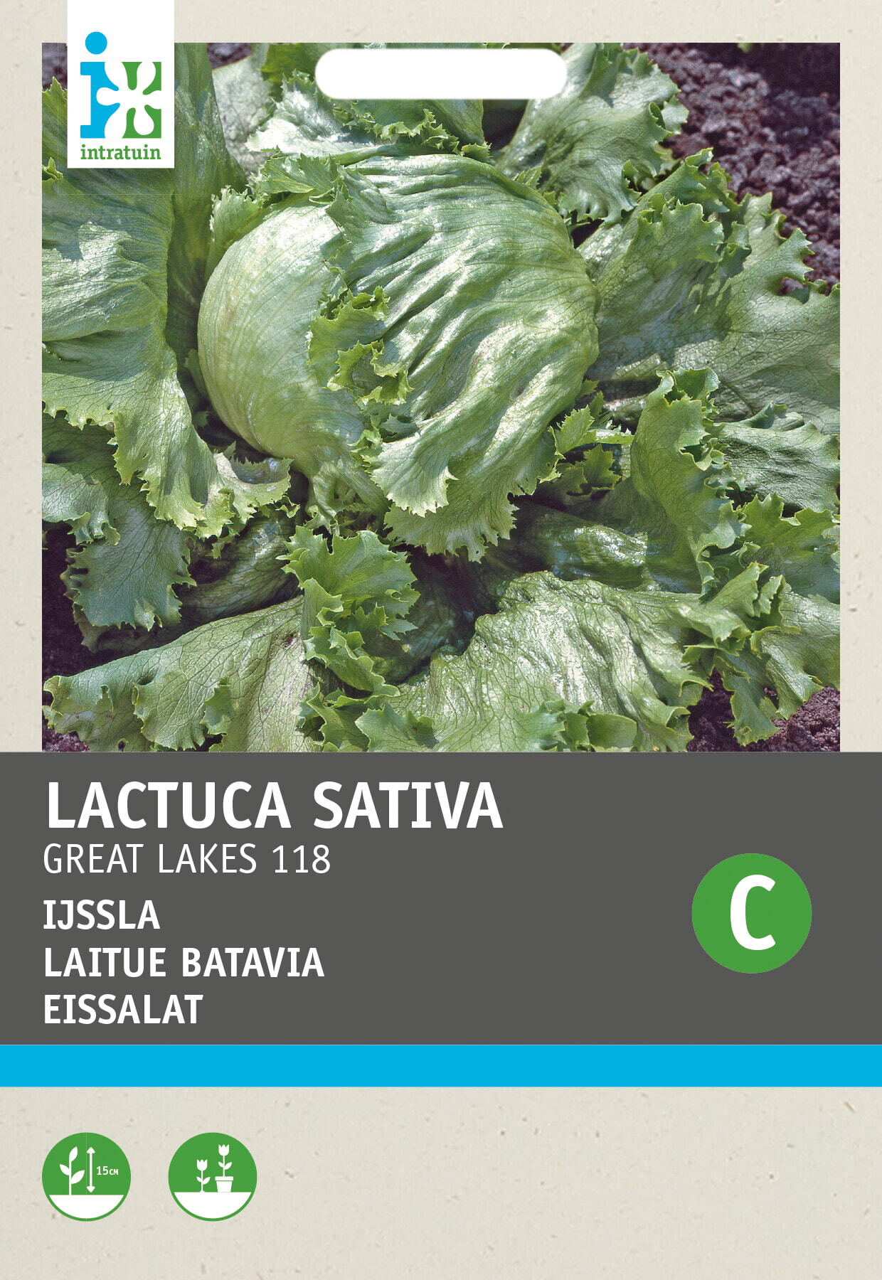 Intratuin groentezaad IJsbergsla (Lactuca sativa 'Great-Lakes 118')