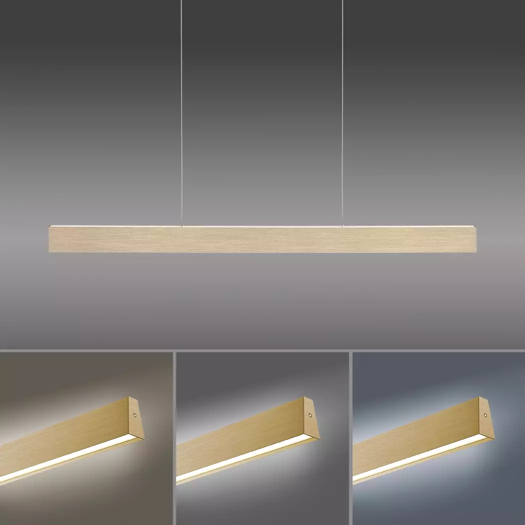 LED-Pendelleuchte Pure-Motion