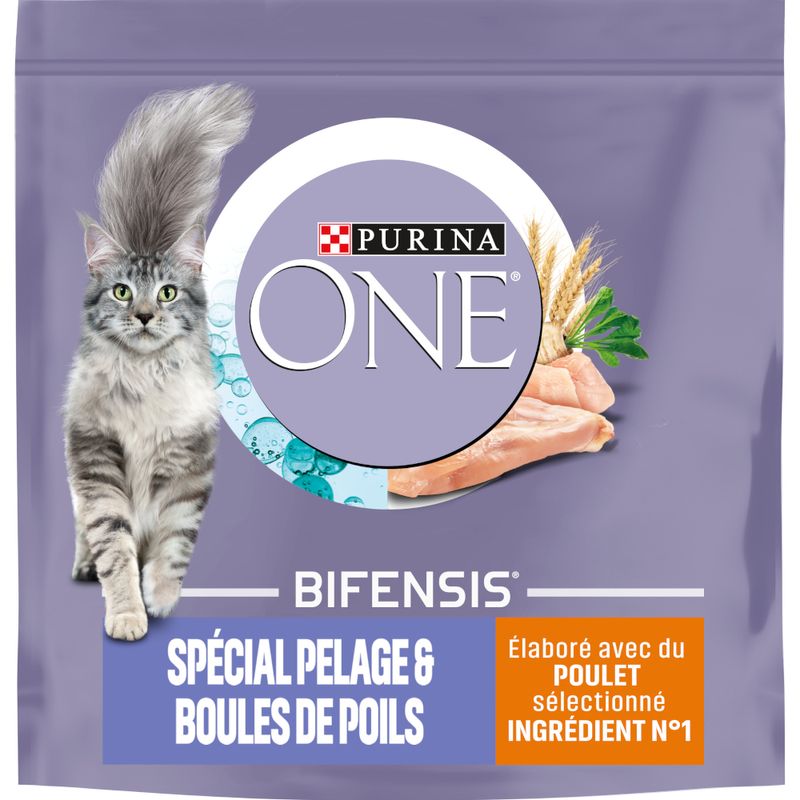 PURINA ONE Pelage & Boules de Poils