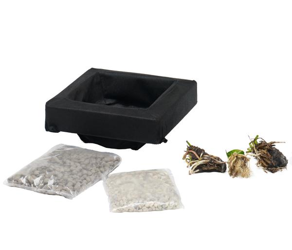 Teichpflanzen Komplett-Set Vielfalt, 6-teilig