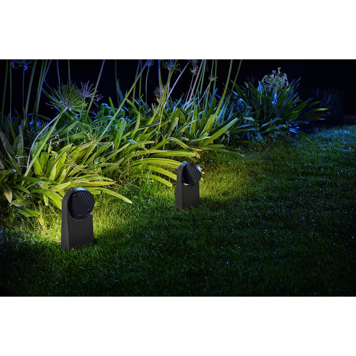 Philips Mimosa sokkellampe 7W