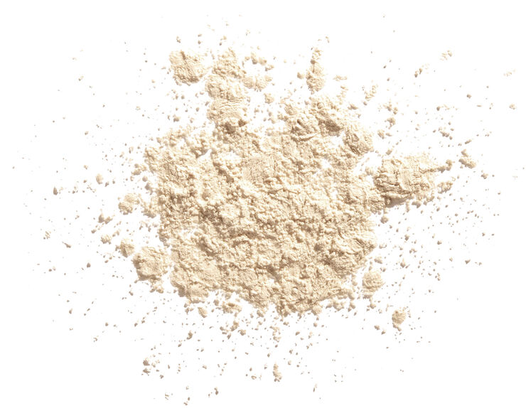 Shiseido SHISEIDO SS Silk Powder Loose matte