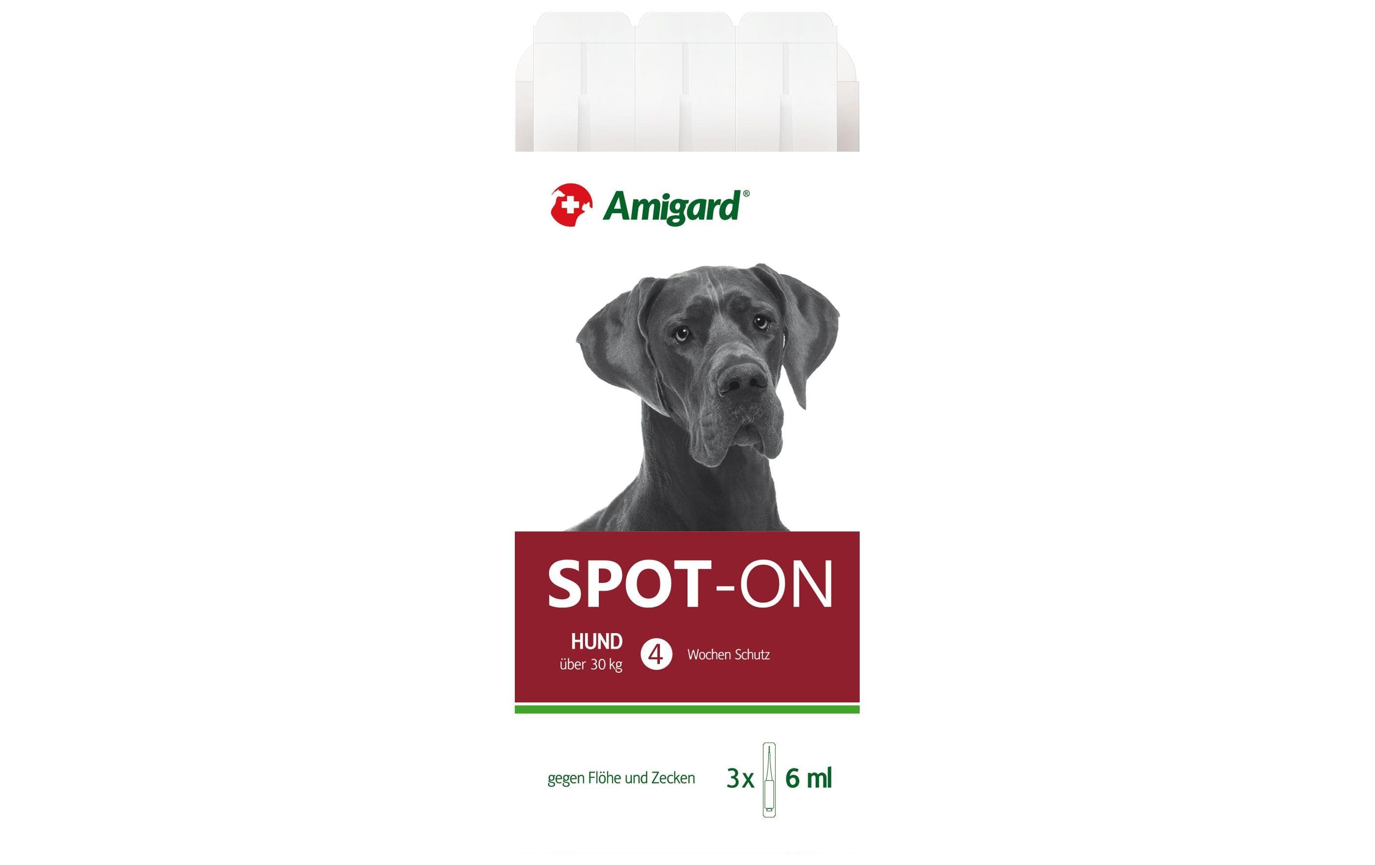 Anti-Parasit-Tropfen Spot-on Hund, 3 x 6 mlSchutz für vier Wochen gegen Flöhe und Zecken