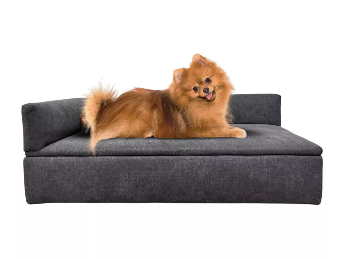 Canapé-lit Well Home avec canapé pour animaux de compagnie avec tissu spécial et base rembourrée Couleur Gris