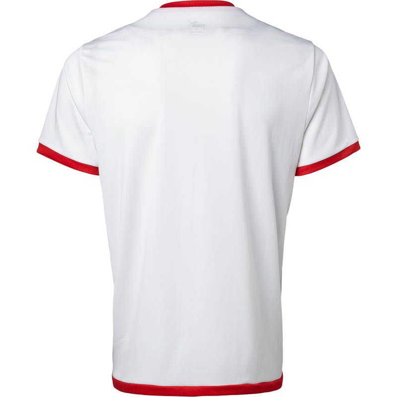 Puma teamLIGA Trænings T-shirt Herre