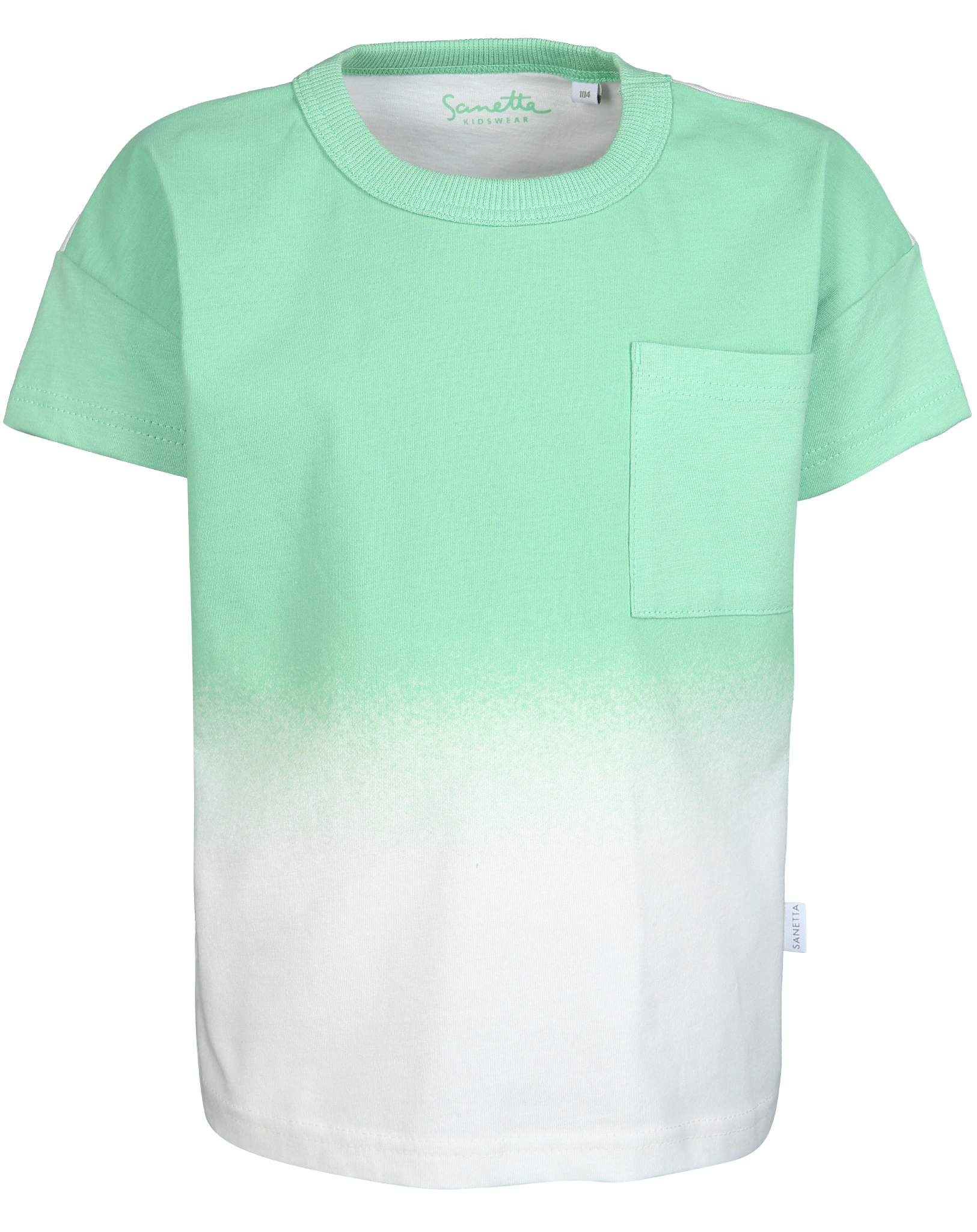 T-Shirt DINOSAURS in jade green