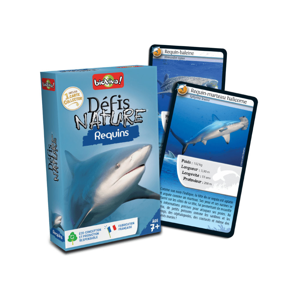 Défis Nature : Requins