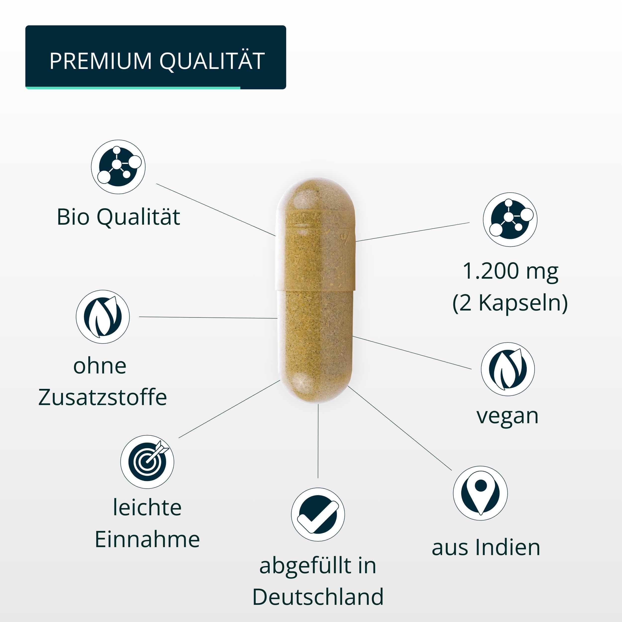 brandl® Bio Ingwer (Ginger)