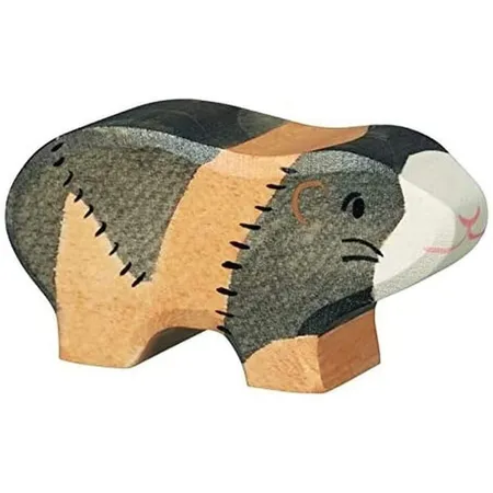 Meerschweinchen