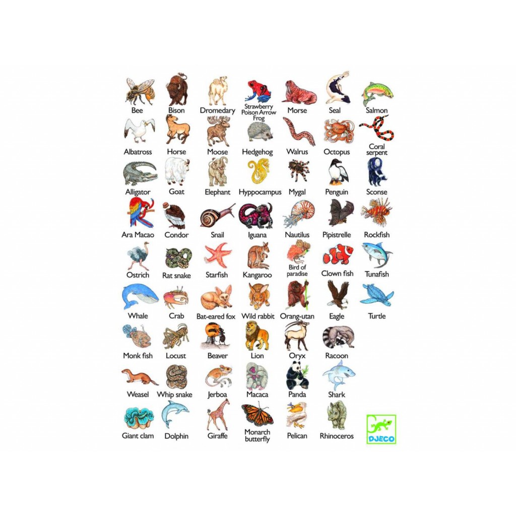 Zanimatch - Jeu de cartes