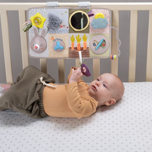 Taf Toys Urban Garden Activity Center