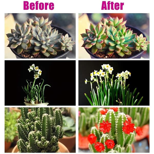 3 Head Grow Light 60 LED-pærer Plantedyrking Automatisk PÅ/AV