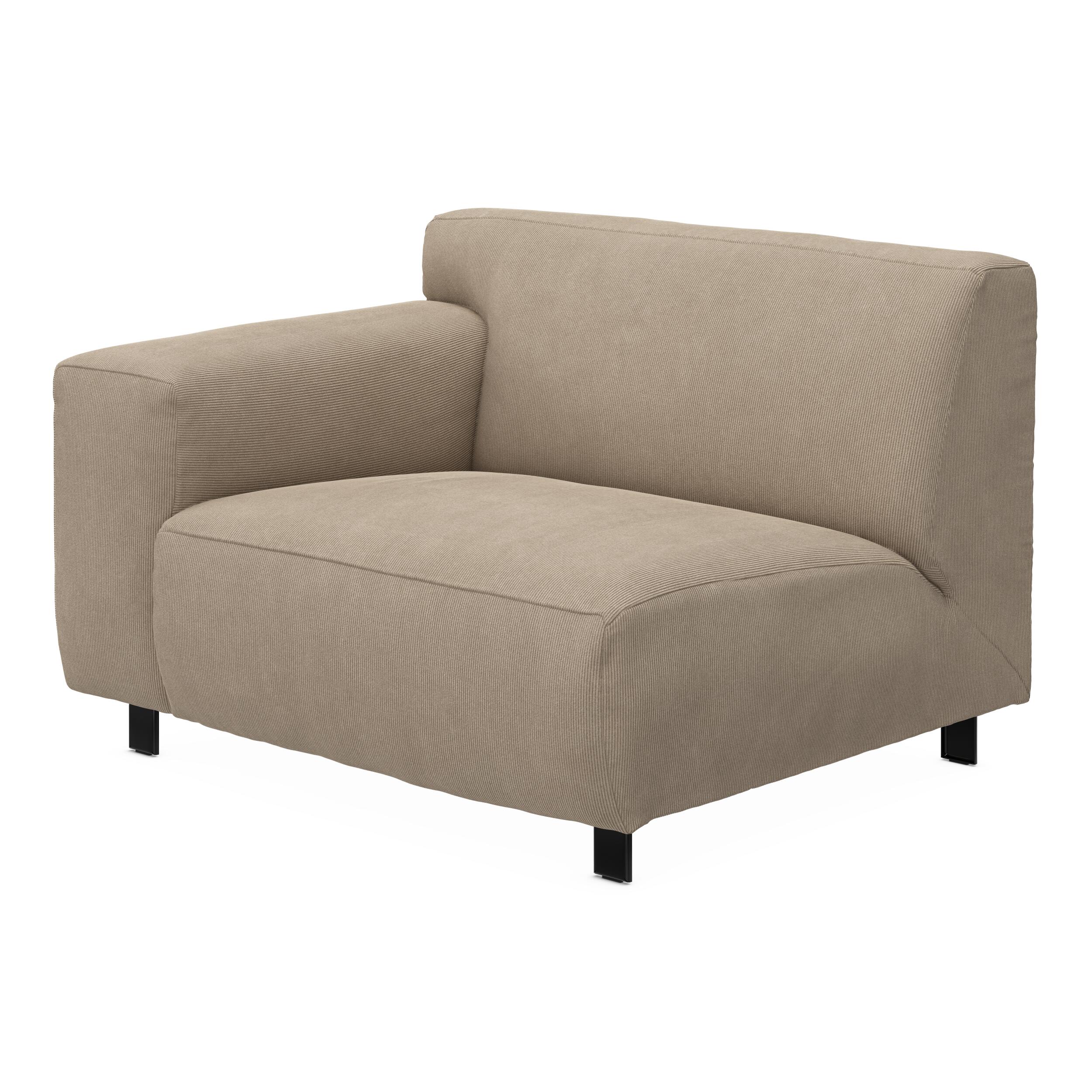 Vesta Endemodul