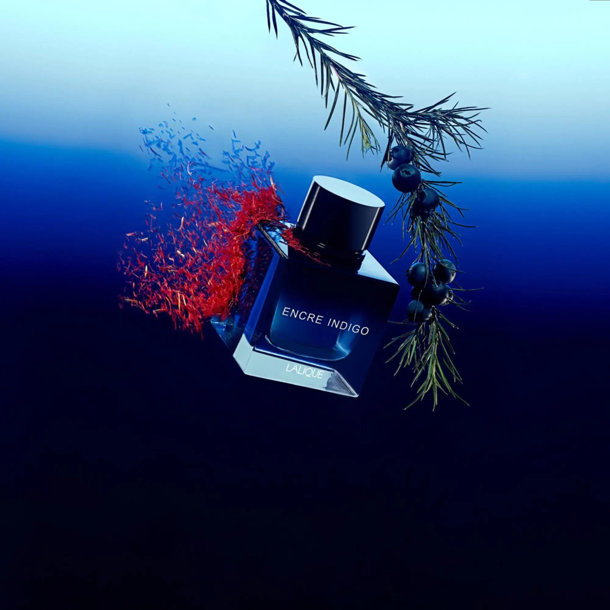 Lalique - Encre Indigo Eau de Parfum- Eau de parfum
