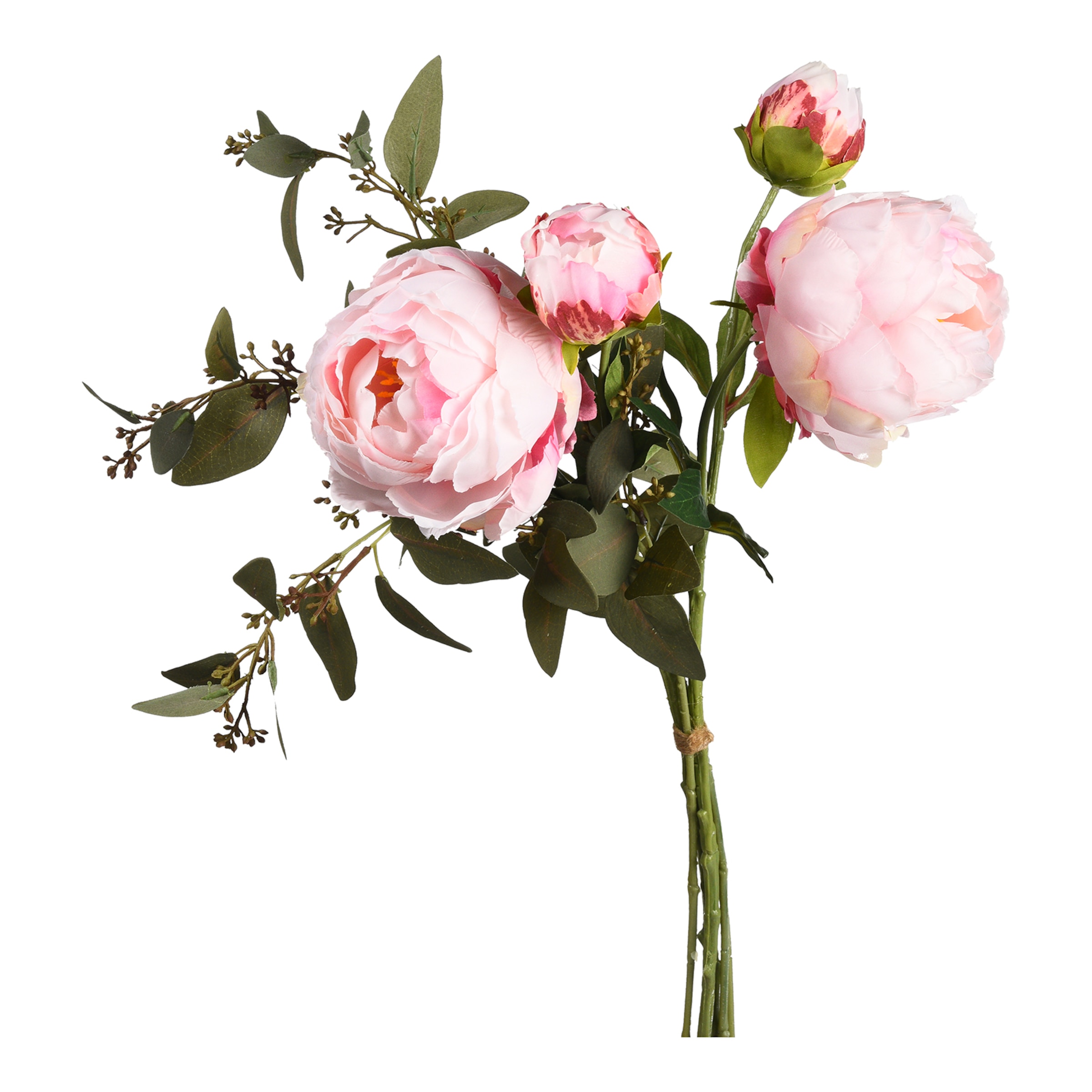 rosa, L 58 cm