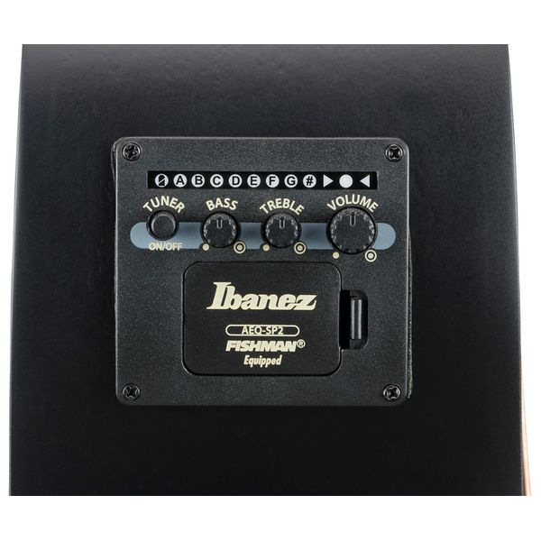 Ibanez AEG721-BOT