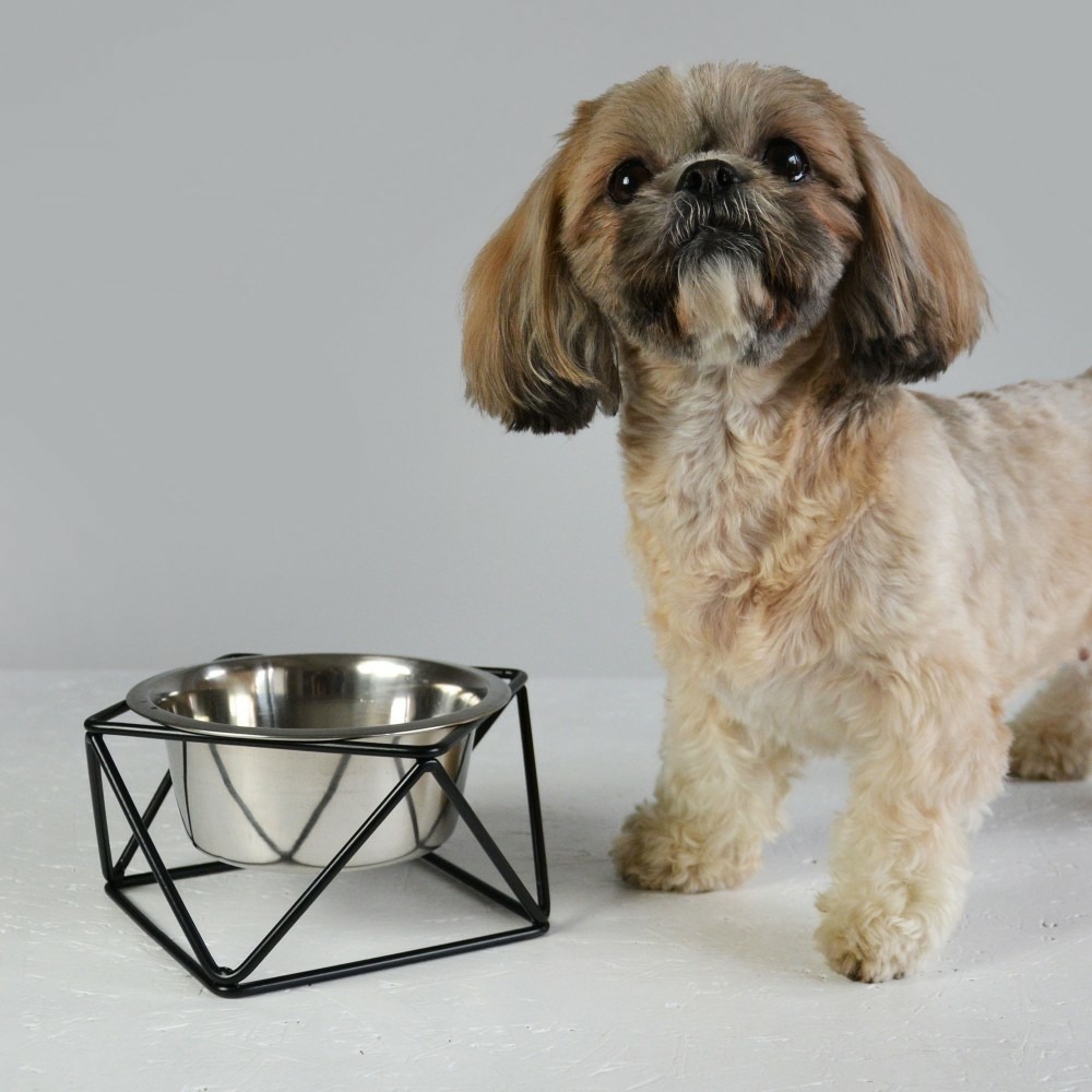 Noise - gamelle surélevée pour chien / chat en acier, socle métal noir