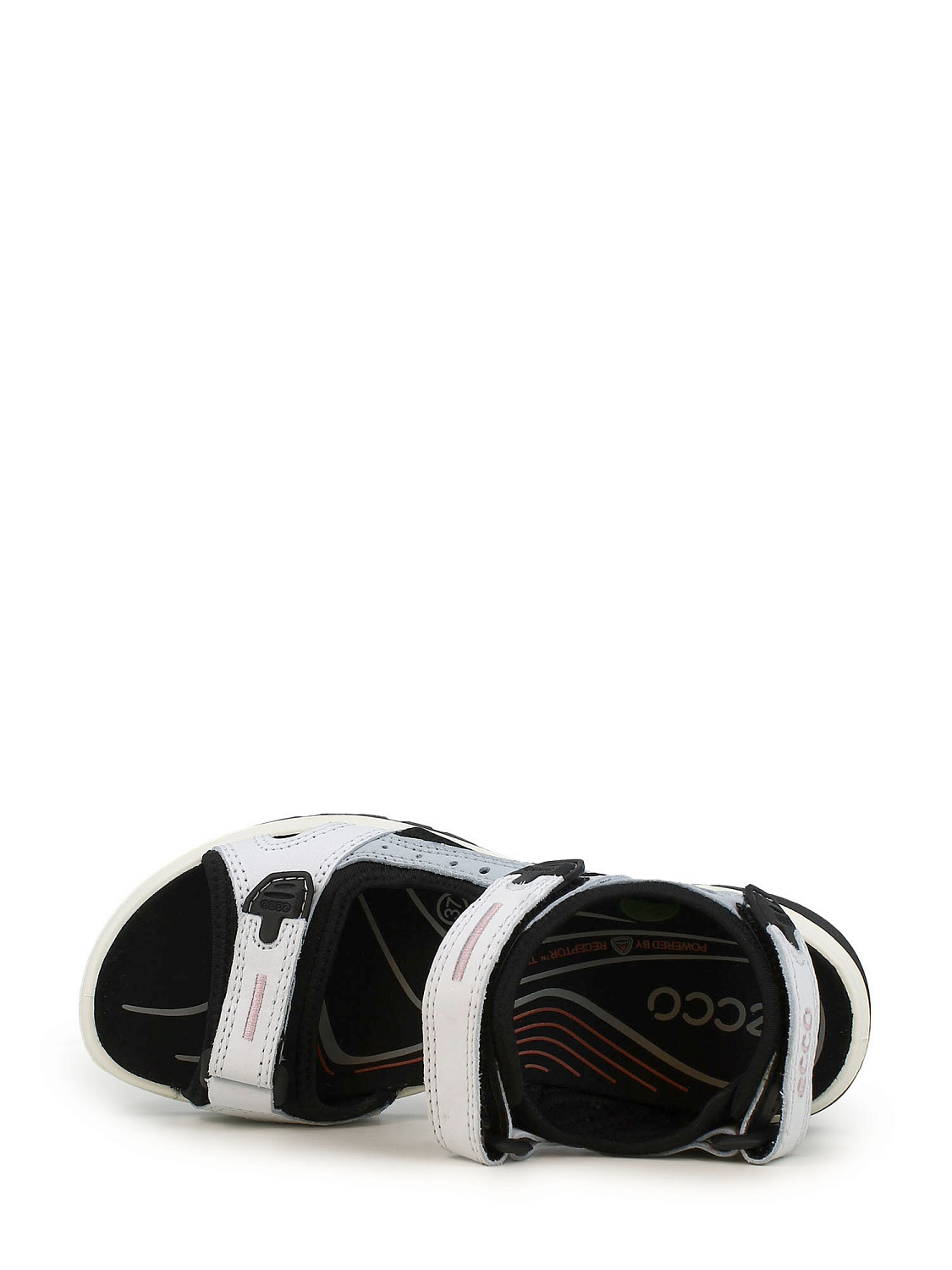 Ecco Offroad W Limestone Arch