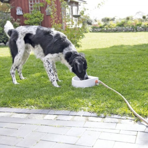 Dispensador automático de água para animais de estimação, branco