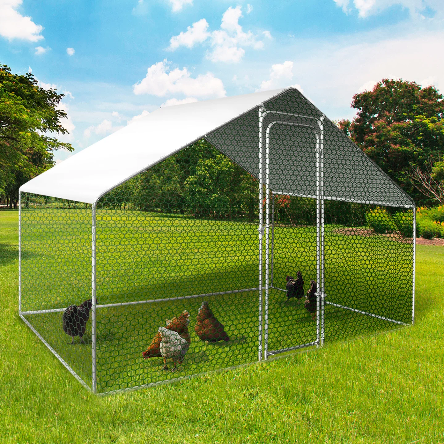Enclos poulailler 3 m² parc grillagé 2,20x1,4 M acier galvanisé