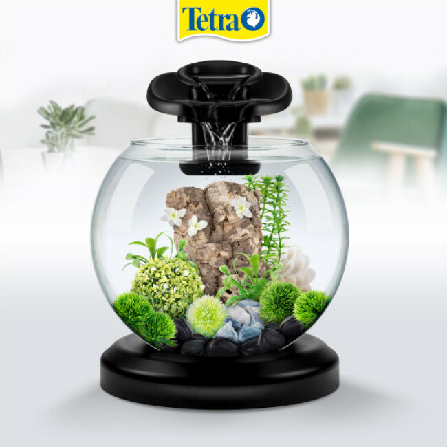 Lave-vitre aimanté Tetra Magnet Cleaner pour aquarium