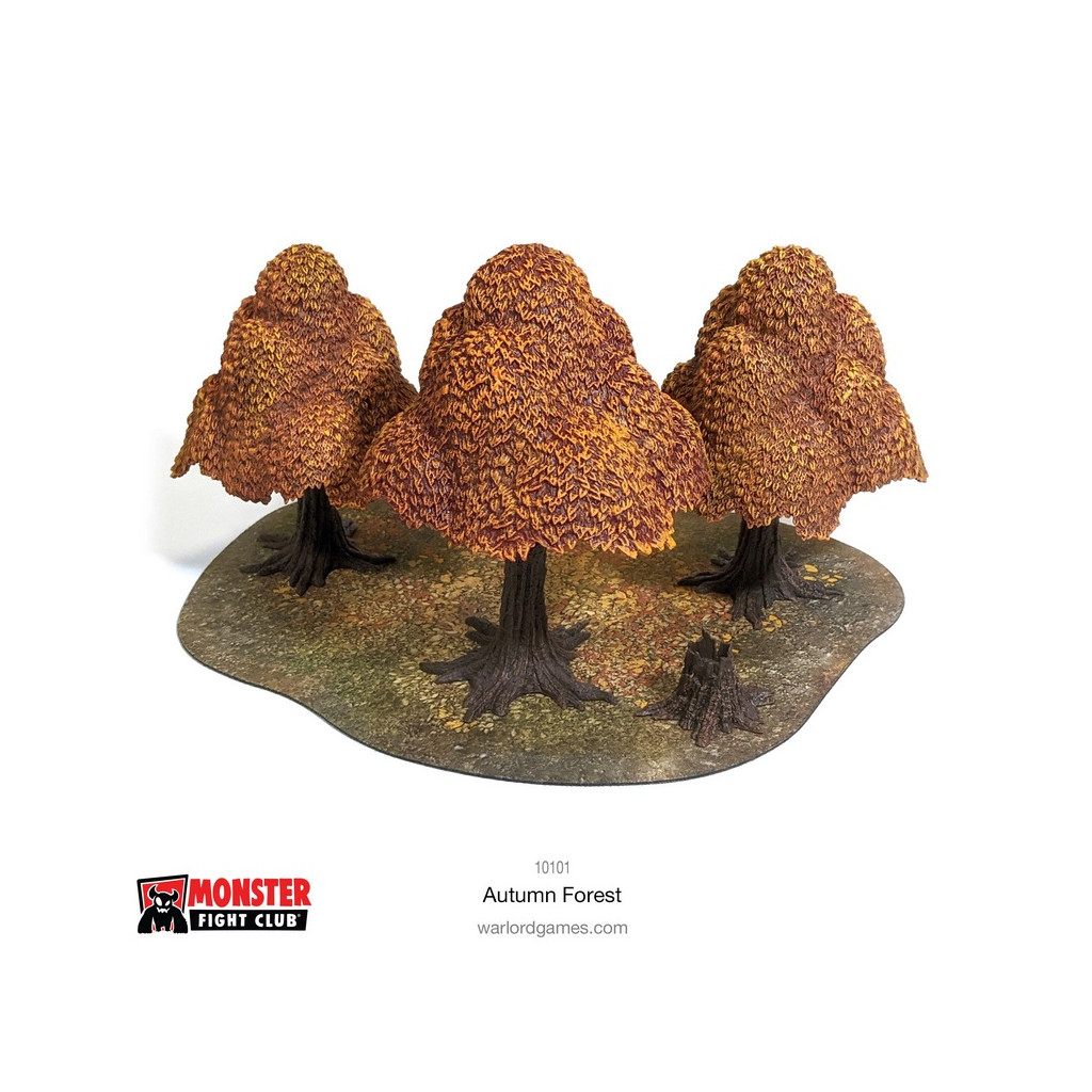 Autumn Forest