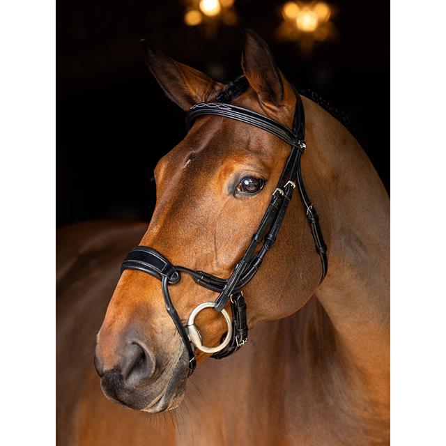 Hoofdstel LeMieux Kudos Clear Arc Zwart-zilver