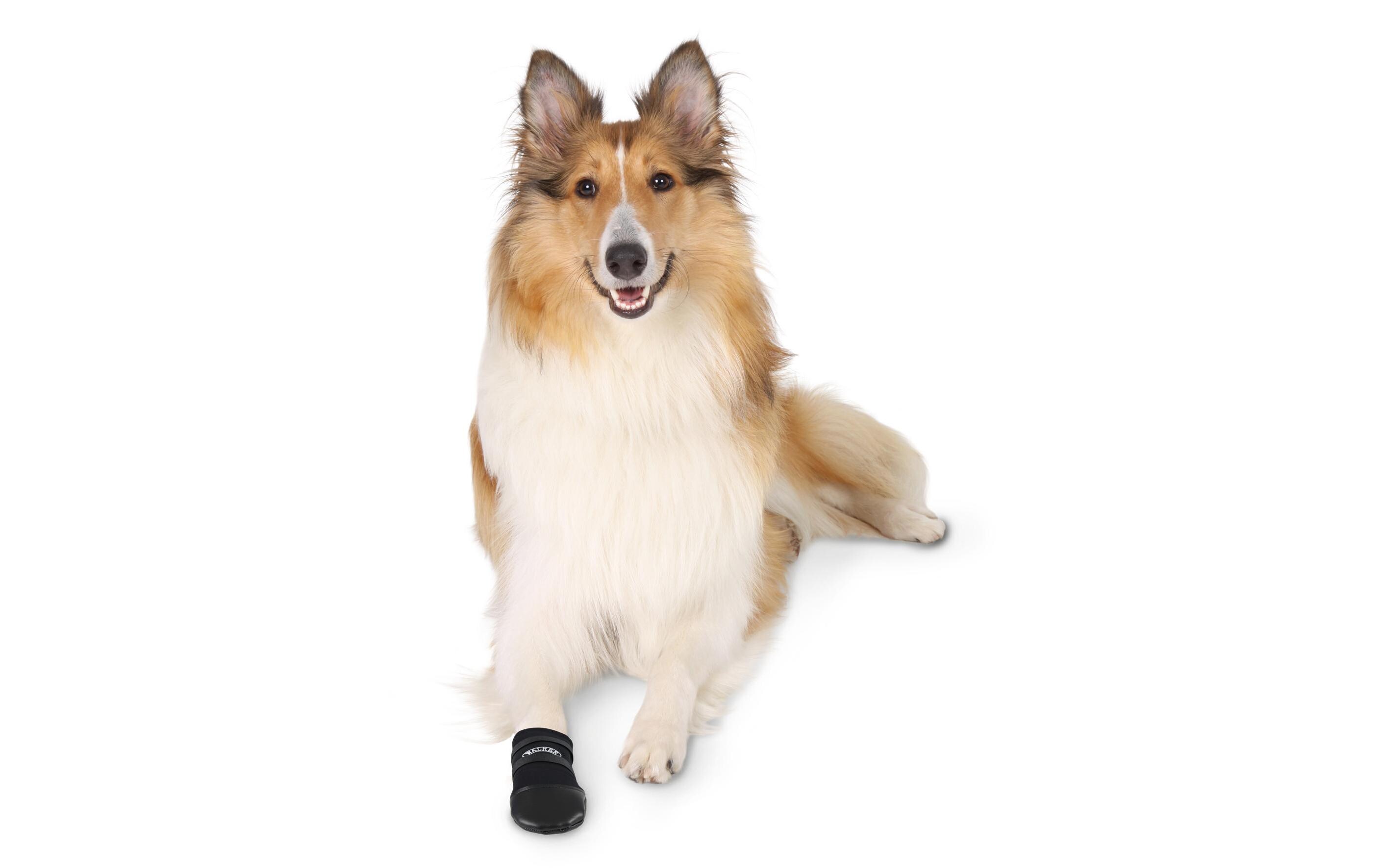 Pfotenschutz Walker Care MPfotenschutz für Hunde