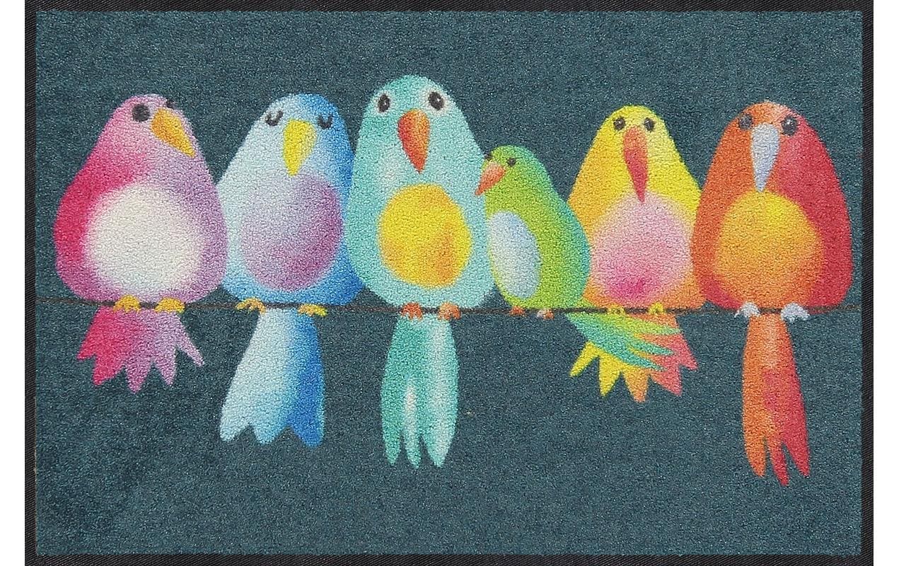 Fussmatte Rainbow Birds 50 cm x 75 cmPflegeleichte und rutschfeste Schmutzfangmatte