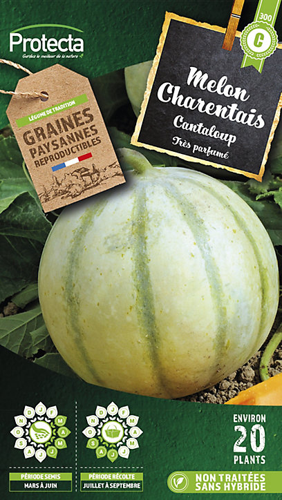Graine de melon charentais Canteloup Protecta