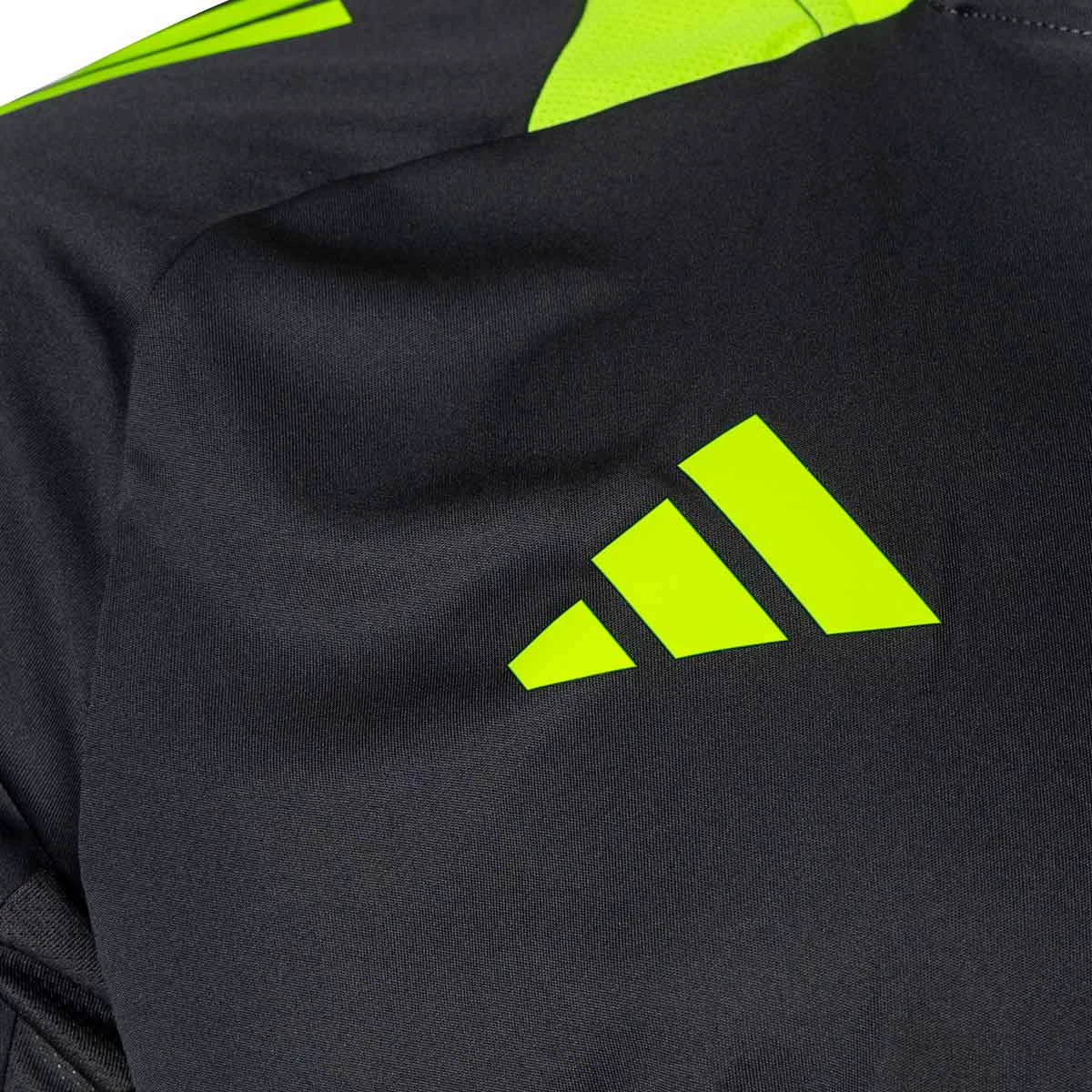 T-Shirt adidas Real Zaragoza Training 2024-2025 Entrenadores