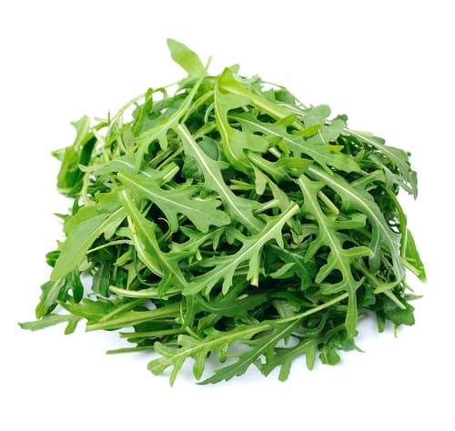 Rucola, Schale