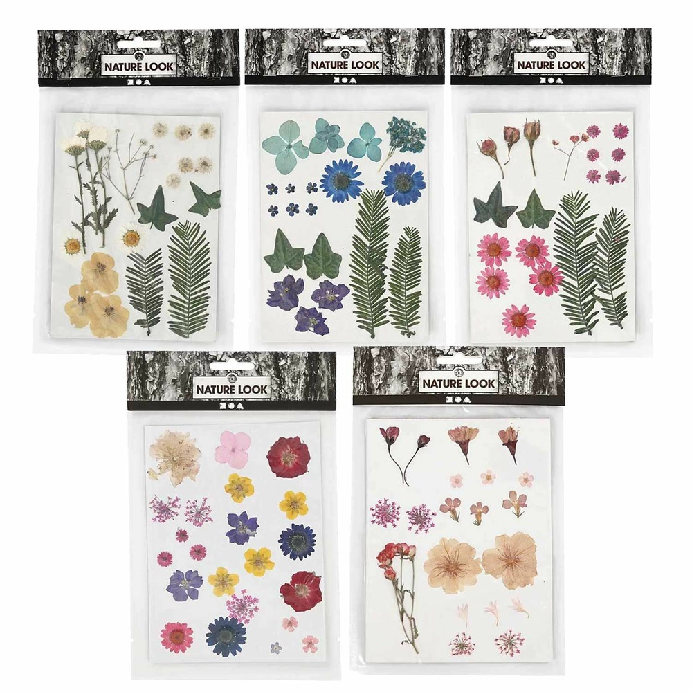 100 fleurs séchées et pressées multicolores