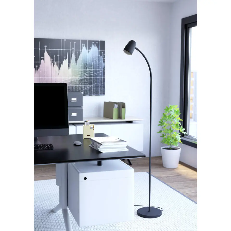 EGLO Carlo Vloerlamp - E14 - 170 cm - Zwart - Kantelbaar