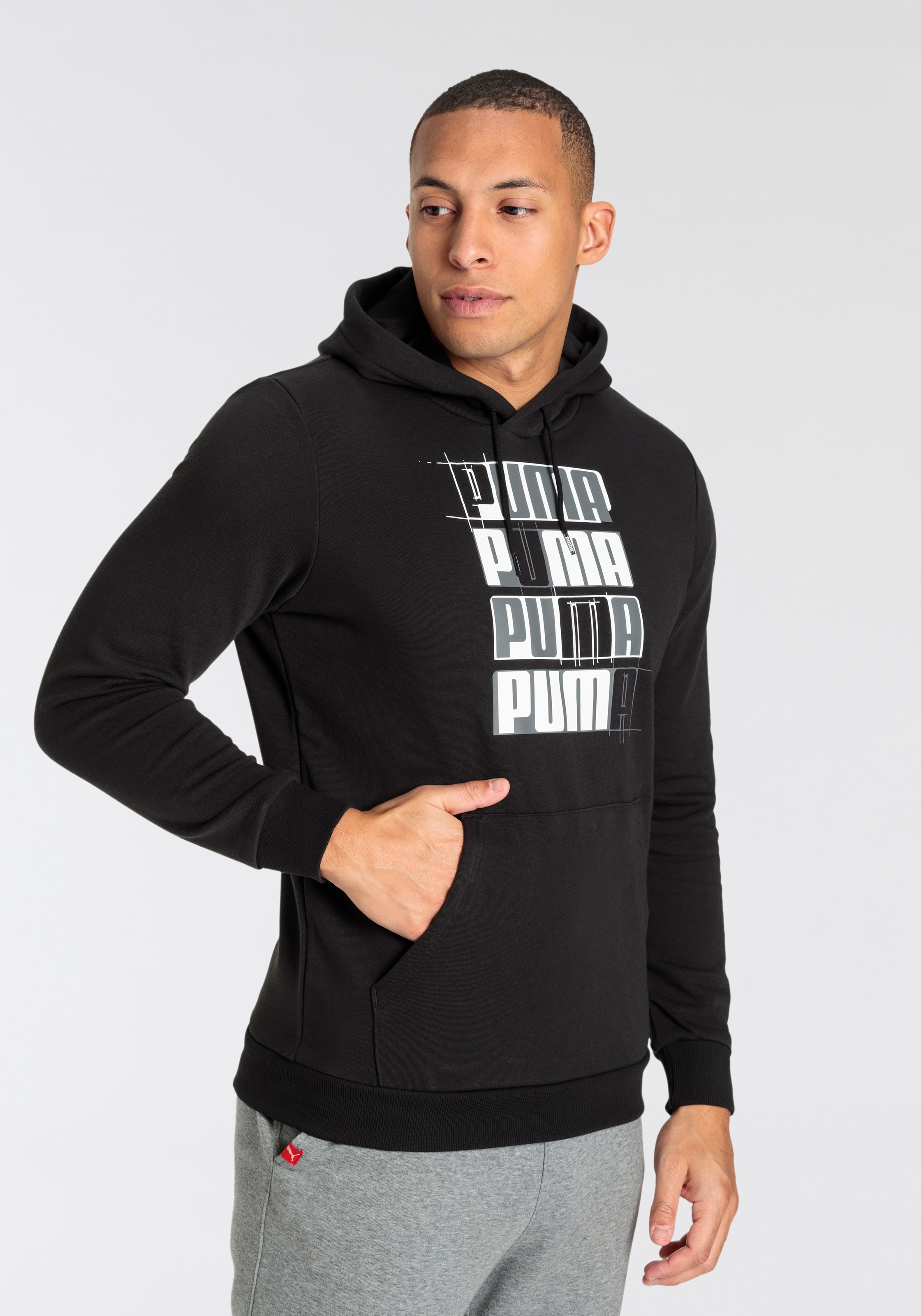 PUMA Kapuzensweatshirt »ESS+ LOGO LAB HOODIE TR«, 1 Stk.