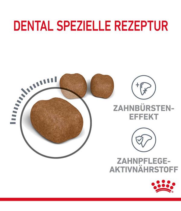 ROYAL CANIN® Trockenfutter für Katzen Dental