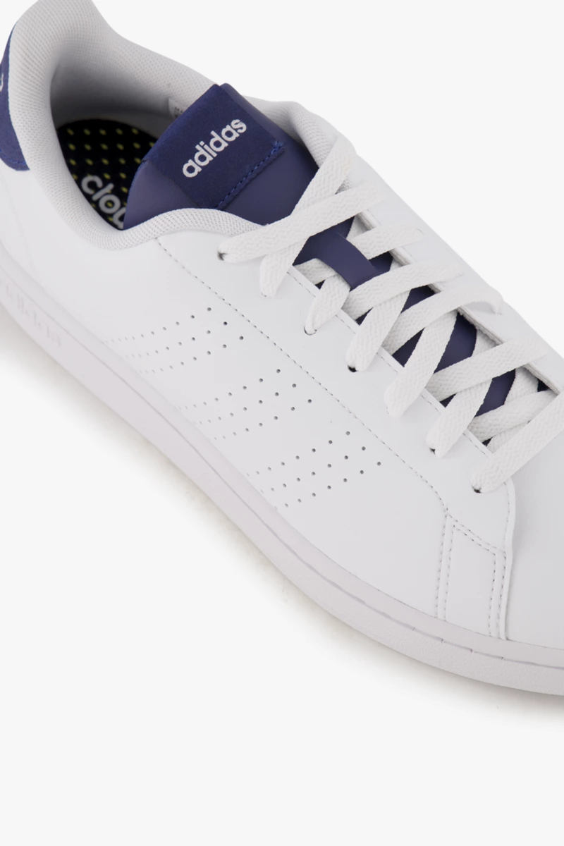 adidas Sportswear Advantage Herren Sneaker