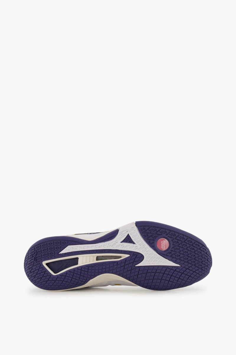 Mizuno Wave Stealth Neo Herren Hallenschuh